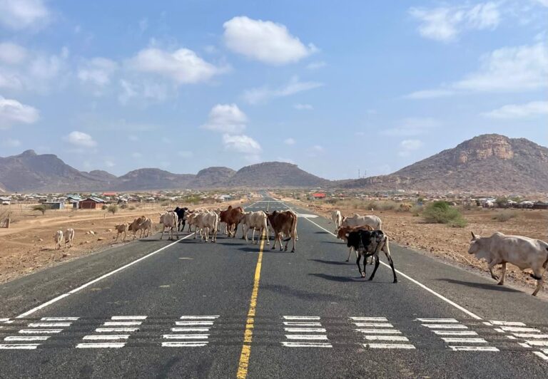 Strengthening Community Land Governance in Northern Kenya: From Knowledge to Ownership
